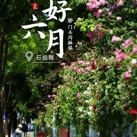 “数”本求源、“研”促成长：郑营小学五年级——精彩课堂《因数和倍数整理复习》