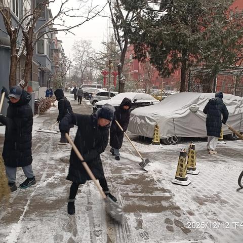 齐心协力，破冰前行——西苑医院社区开展扫雪铲冰行动，保障居民出行