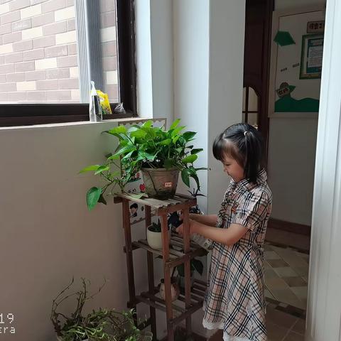 美好的一天