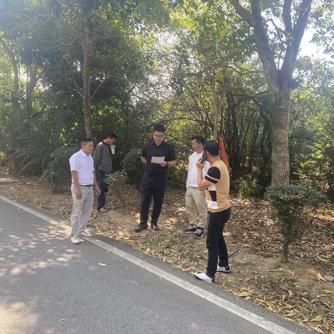 椰林镇加快推进G98环岛高速公路大三亚段扩容工程（陵水椰林段）用地征地工作