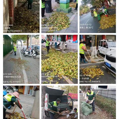 春风吹落叶：于都县金沙田环卫工人的春日坚守