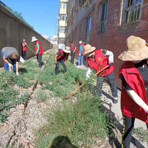 清除辖区杂草，消除火灾隐患——长胜南路社区在行动