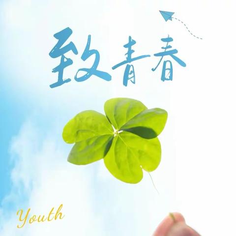 团青春 向未来 国家税务总局锦州市税务系统团委召开二届二次全体委员（扩大）会议