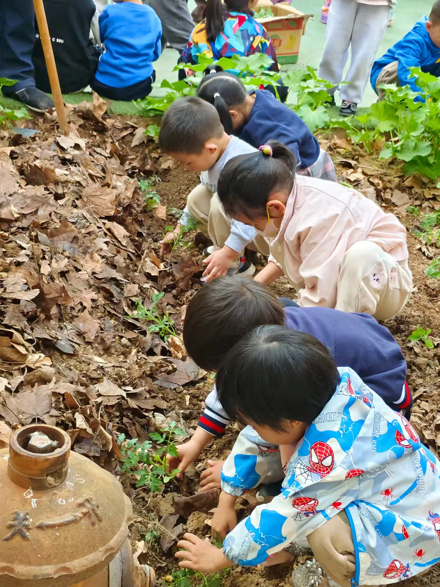 简篇-“童”耕春日,共筑绿色社区