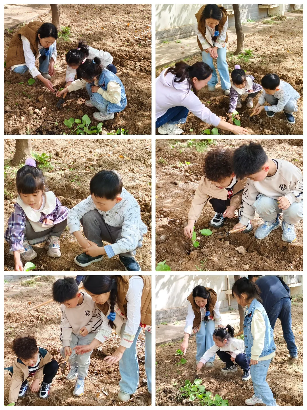 简篇-“童”耕春日,共筑绿色社区
