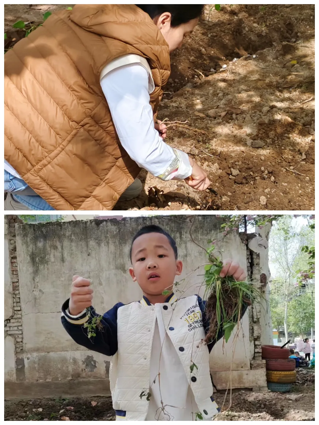 简篇-“童”耕春日,共筑绿色社区