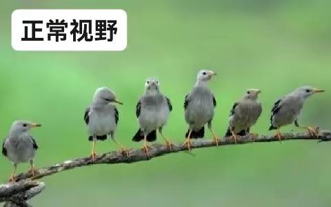 怀疑得了青光眼？教你一招自己检查