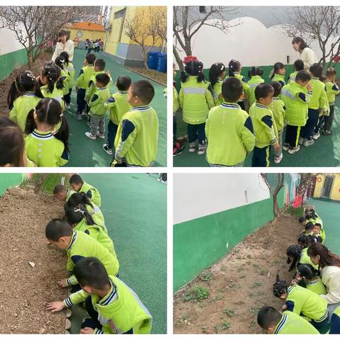 快乐播种 承载希望