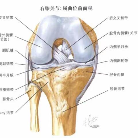 贺兰县人民医院首例“前交叉韧带IDEAL重建术”