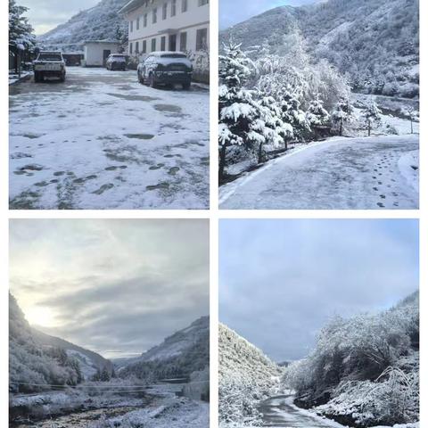 博峪保护站辖区降雪覆盖情况
