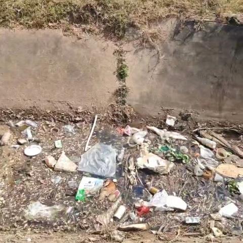 大田镇开展河道清淤行动 全力守护河畅水清