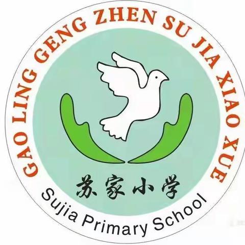 传承雷锋精神  让青春在奉献中绽放——苏家小学学习雷锋活动