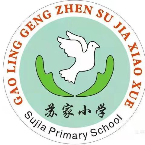 童心飞扬   活力校园 ——耿镇苏家小学2024年春季田径运动会暨体操比赛