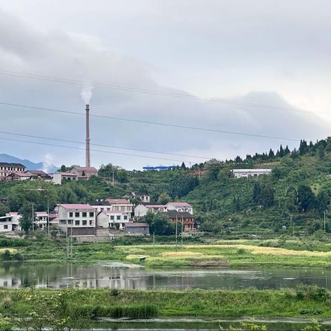 洑水湾中心小学12周工作总结