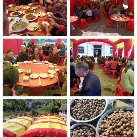 松树村第七届重阳敬老孝老活动倡议