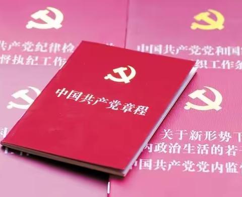 学习党章，践行党章 津南六幼党支部党章学习月系列活动