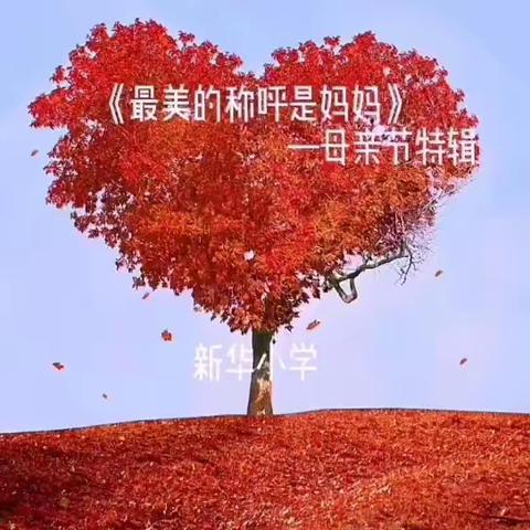 立德树人  以爱之名 时光献礼——新华小学母亲节主题活动