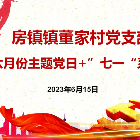 房镇镇董家村党支部开展2023年6月份“主题党日+“七一”系列活动”的主题党日