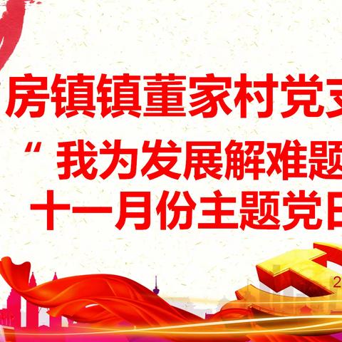 房镇镇董家村党支部开展2023年11月份“我为发展解难题”的主题党日