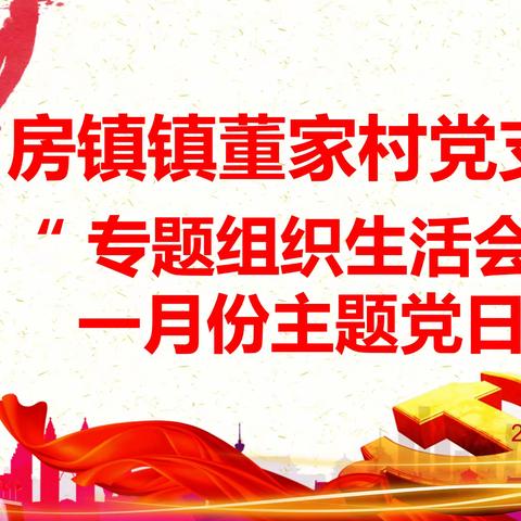 房镇镇董家村党支部开展2024年1月份“专题组织生活会”的主题党日