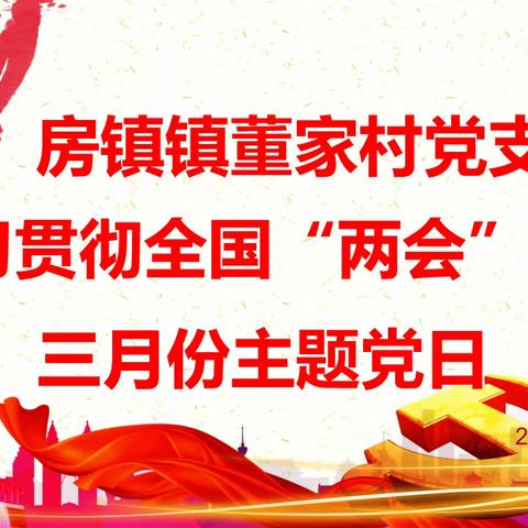 房镇镇董家村党支部开展2024年3月份“学习贯彻全国“两会”精神”的主题党日