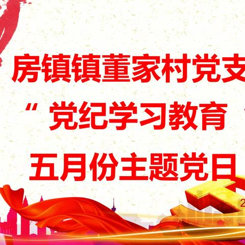 房镇镇董家村党支部开展2024年5月份“党纪学习教育”的主题党日