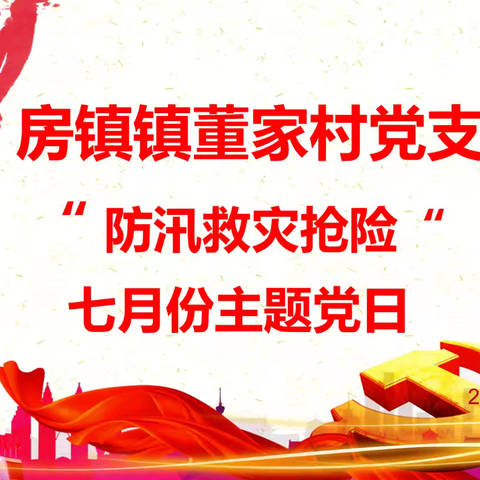 房镇镇董家村党支部开展2024年7月份“防汛救灾抢险”的主题党日
