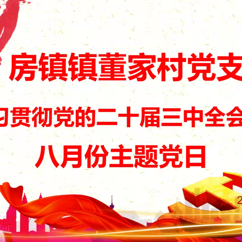 房镇镇董家村党支部开展2024年8月份“学习贯彻党的二十届三中全会精神”的主题党