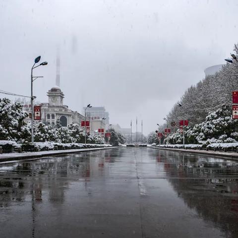 《洛阳三月春雪》——20230616