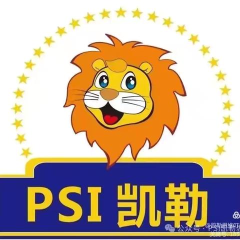 PSI凯勒思维课程介绍 ‍