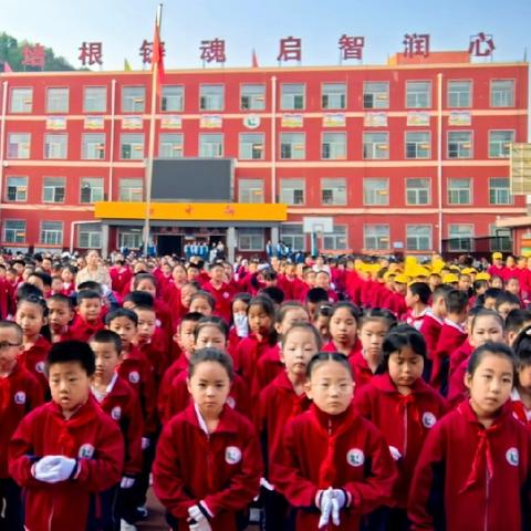 特色课程异彩纷呈 ﻿ 五育并举全面育人