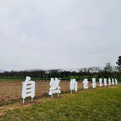 渝中区精一民族小学校一年级三班丨“春面拂面花开早·实践出游正当时”2024年春季行走读城研学主题活动