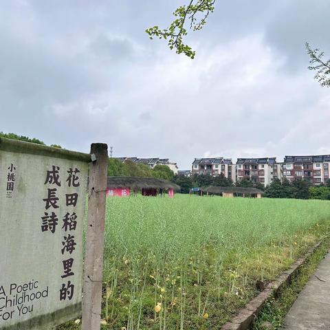 渝北区首地人和街小学三年级四班丨行走的思政课——“拥抱大自然·劳动创造美；2024年春季研学实践活动