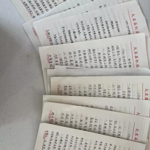 红庙乡中心小学教师教案出色完成情况总结