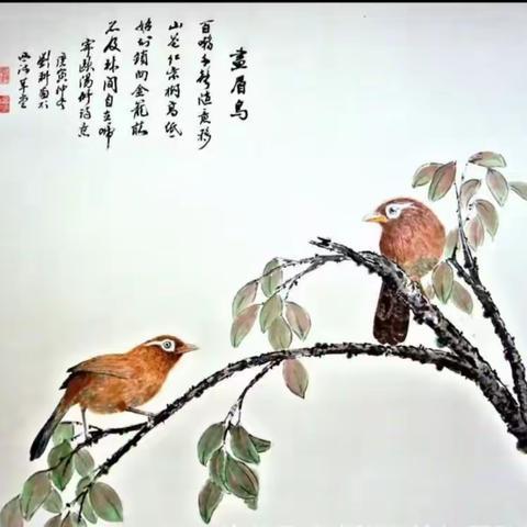 “经典诵读”吟诵篇之《画眉鸟》