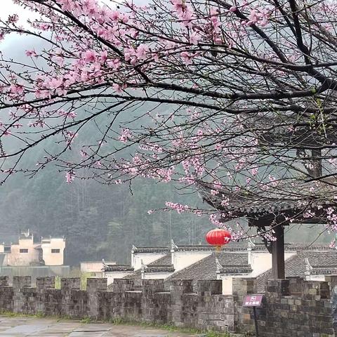 巾帼争优勇建功，蜡炬微光照初心      一一石门村·婺女洲游春红色之旅”