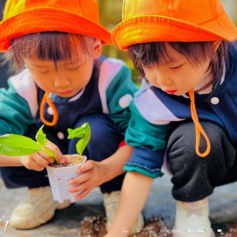 ‍ 昆明市五华区曜龙幼儿园中二班秋游研学之旅