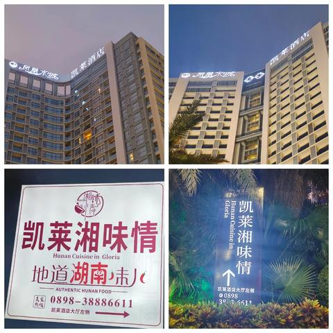 2024年8月5日皮盛E0D值班汇报