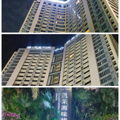 2024年10月16日皮盛E0D工作汇报