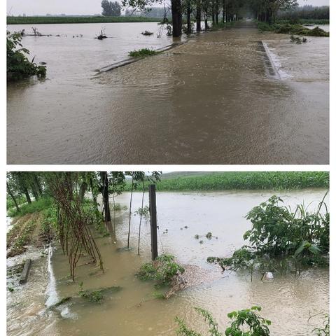 闻汛而动战风雨