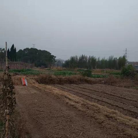 禁烧秸秆，守护蓝天