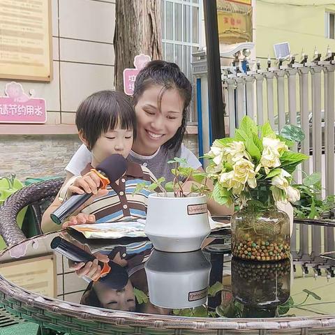 中一班十二棵树电台🌲🌲🌲🌲🌲🌲🌲🌲🌲🌲🌲🌲