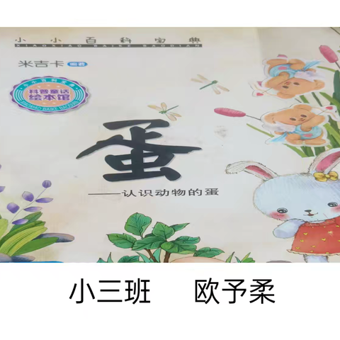 🌸小三班第十一周紫薇电台🌲🌲🌲🌲