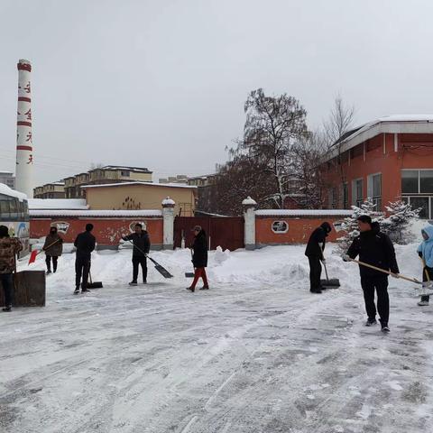 培训中心清扫积雪保畅通，美化环境除隐患