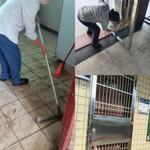 金鹿物业开展爱国卫生运动大扫除活动