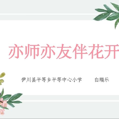 亦师亦友伴花开——伊川县班主任暑期培训纪实