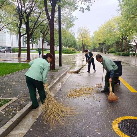 落叶季遇下雨天，保洁人员清扫忙