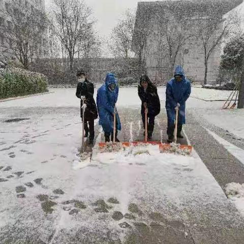 天降瑞雪祥气到     齐心协力扫雪忙