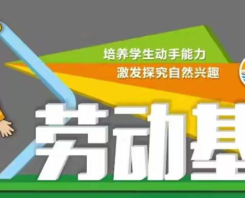 劳动创造美，种植快乐多！ ———漳州正兴学校四年2班红领巾小菜园德育实践活动