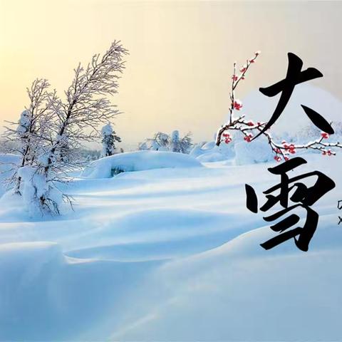 【五幼·周分享】小二班——“幼”见大雪，邂逅最美童年